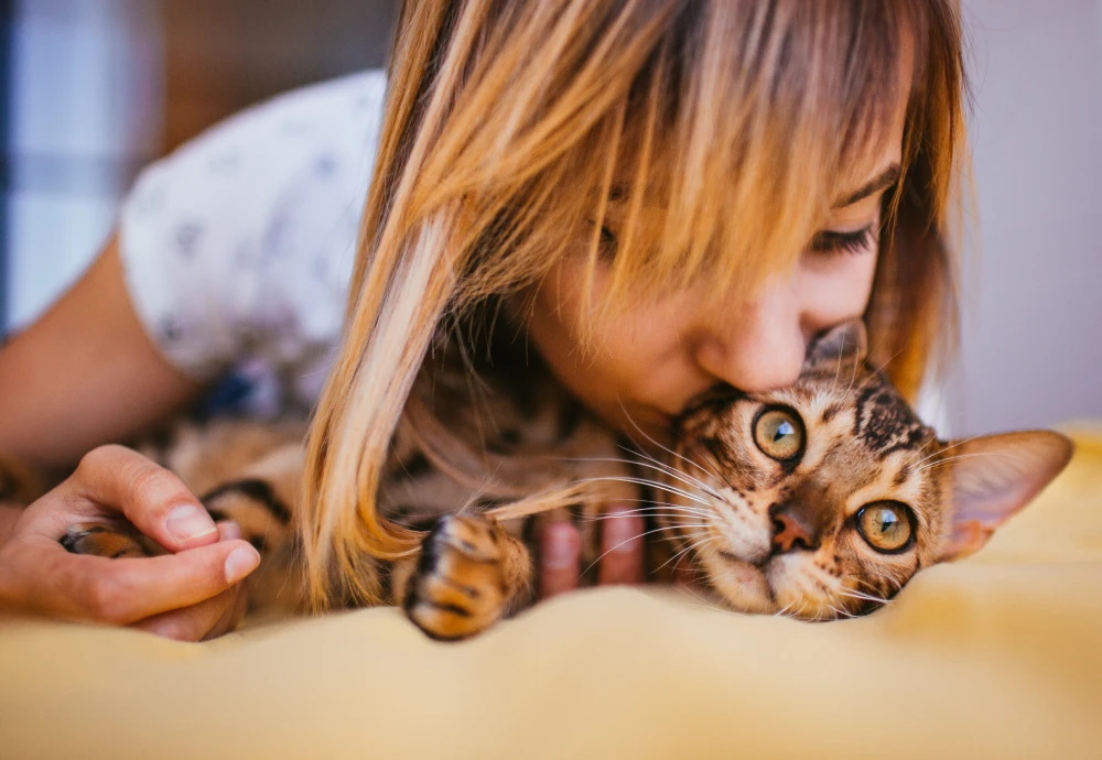 camera to watch pets